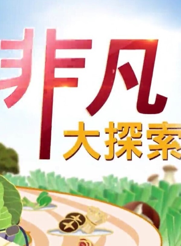 山东青岛平度05年骚母狗刘一路出轨被曝光与闺蜜旅游勾搭大屌体育生狂干后入 - 色狗网